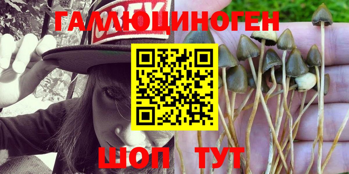Галлюциногенные грибы Psilocybine cubensis Артёмовский