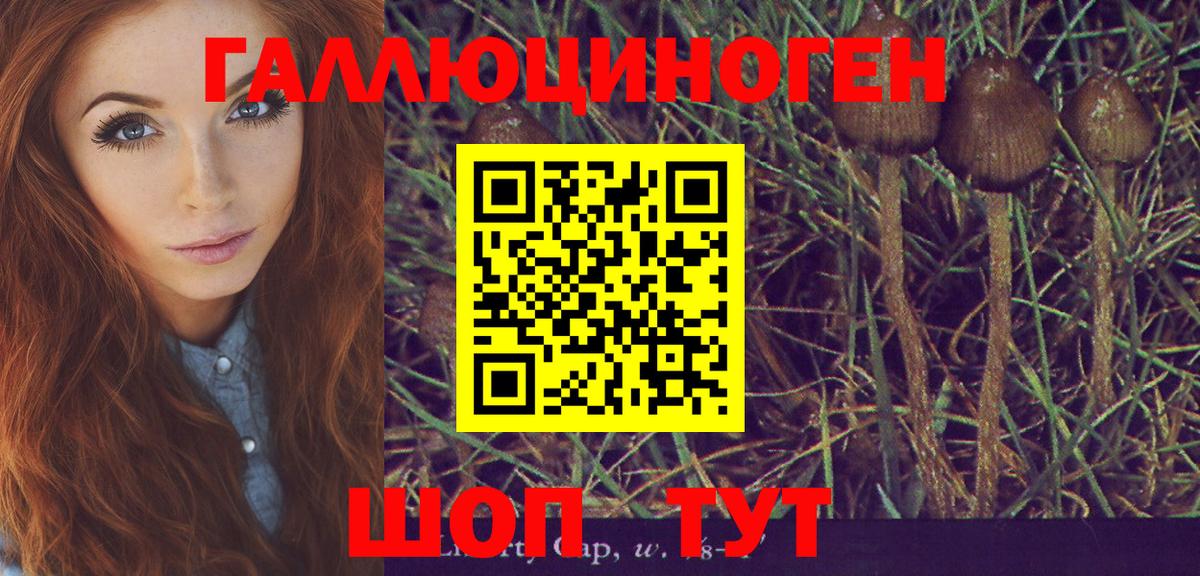 Галлюциногенные грибы Psilocybe  Вход с VPN  Артёмовский 